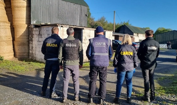 Die irische Polizei veröffentlichte Einsatzfotos und sprach von „organisierter Kriminalität“.