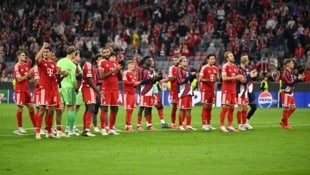 Großer Jubel bei den Bayern-Stars