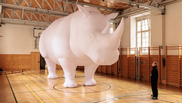 „The Rhinoceros in the Room“ des Künstlers Itamar Gov im Turnsaal des BRG Fadingerstraße.