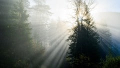 Noch liegt mancherorts Nebel über dem Land – doch schon bald setzt sich die Sonne durch.