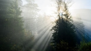Noch liegt mancherorts Nebel über dem Land – doch schon bald setzt sich die Sonne durch.