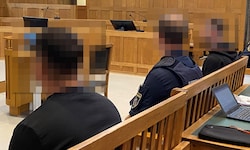 Richter Theo Rümmele verurteilte beiden Rumänen zu Haftstrafen. Sie hatten jede Menge heiße Ware ...
