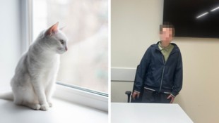 Katze „Fluffy“ (Symbolbild) soll den Burschen so erschreckt haben, dass er abdrückte.