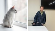 Katze „Fluffy“ (Symbolbild) soll den Burschen so erschreckt haben, dass er abdrückte.