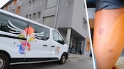 Mitarbeiter und Klienten der Notschlafstelle Innsbruck werden täglich von Bettwanzen regelrecht ...
