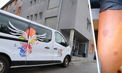 Mitarbeiter und Klienten der Notschlafstelle Innsbruck werden täglich von Bettwanzen regelrecht ...