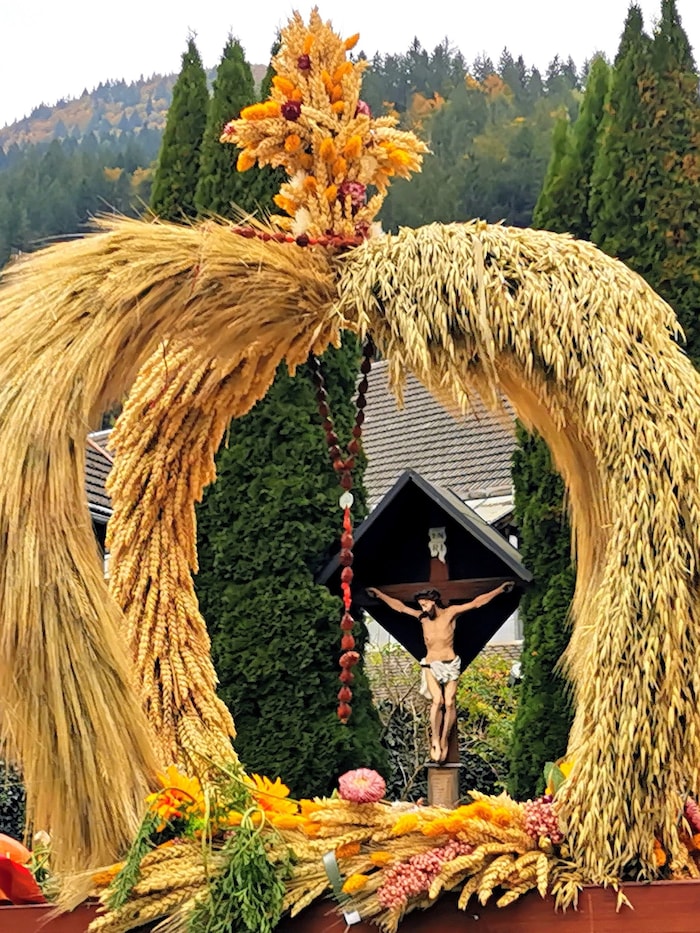 Erntekronen, gebunden aus vier Getreidesorten, fehlen bei keinem Erntedankfest. Bis Mitte ...
