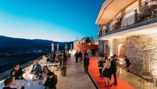 Auf Taggenbrunn: Wein und Panorama genießen!