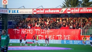 Die Salzburg-Fans in Ried