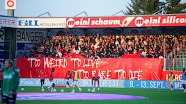 Die Salzburg-Fans in Ried
