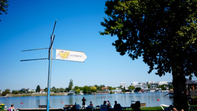 Das Strandbad Alte Donau ist ein Publikumsmagnet.