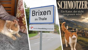 Der Brixener Dorfkater „Schmotzer“ in liebevoller Umgebung (links) und auf dem Buchcover