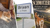 Der Brixener Dorfkater „Schmotzer“ in liebevoller Umgebung (links) und auf dem Buchcover