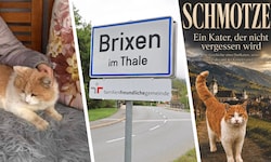 Der Brixener Dorfkater „Schmotzer“ in liebevoller Umgebung (links) und auf dem Buchcover