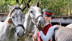 Nach einem unbeschwerten Sommer auf der Alm ging es für die weltberühmten Lipizzaner am Samstag ...