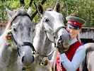 Nach einem unbeschwerten Sommer auf der Alm ging es für die weltberühmten Lipizzaner am Samstag ...