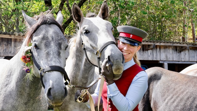 Nach einem unbeschwerten Sommer auf der Alm ging es für die weltberühmten Lipizzaner am Samstag ...
