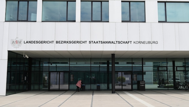Die Obsorgesache am Bezirksgericht Korneuburg ist noch nicht abgeschlossen. Eine neue ...