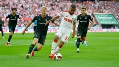 FC Köln und Werder Bremen trennten sich mit einem Remis.