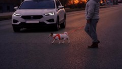 Beim Überqueren der Straße wurde der Mann vom Auto erfasst (Symbolbild).