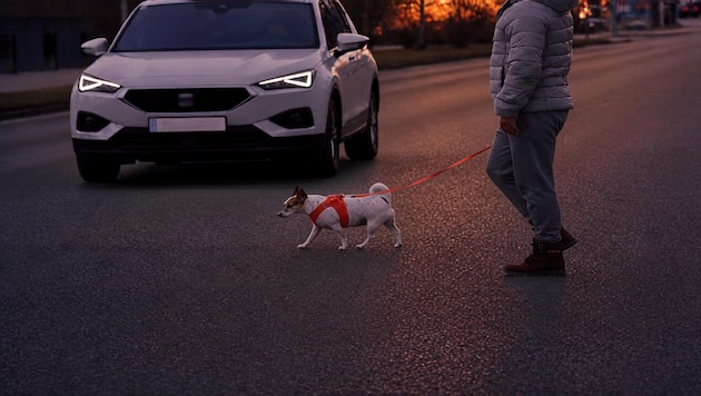 Beim Überqueren der Straße wurde der Mann vom Auto erfasst (Symbolbild).