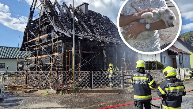 Die traurigen Überreste des Hauses in der Nähe des Fohnsdorfer Freibads – und der unversehrt ...