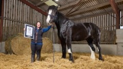 Pferd Hugo mit seiner Besitzerin Lisa Masters