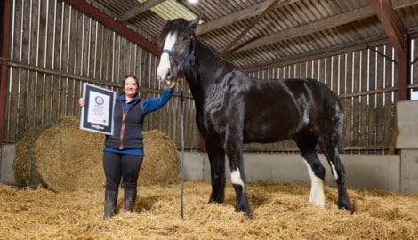 Pferd Hugo mit seiner Besitzerin Lisa Masters