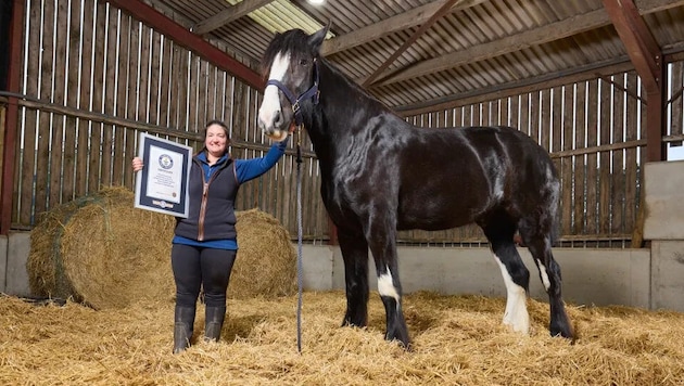 Pferd Hugo mit seiner Besitzerin Lisa Masters