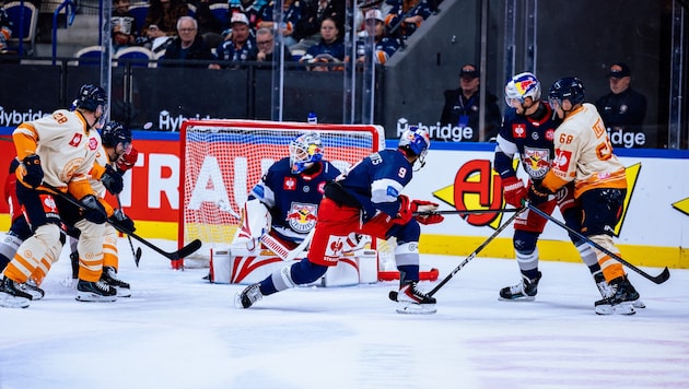 Die Eisbullen fanden erst im letzten Drittel zu ihrem Spiel.