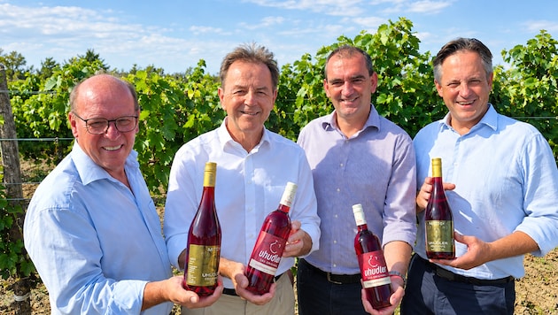 Landwirtschaftskammerchef Nikolaus Berlakovich mit den drei Weinexperten Andreas Liegenfeld, ...