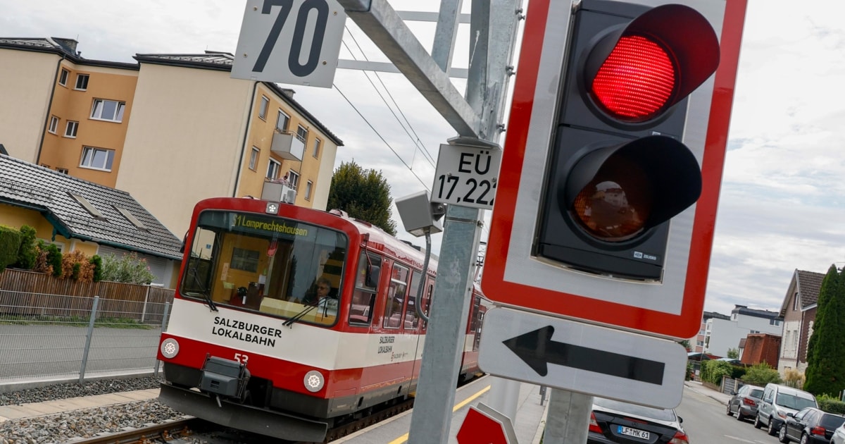 „Laden Regierung ein, neben Glocke zu übernachten“