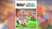 Das von Albert Uderzo gezeichnete und gemalte Original-Titelbild