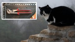 Mit einer Rohrzange (siehe oben) erschlug der Mann seine eigene Katze (Symbolbild).
