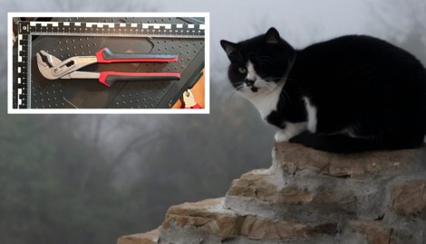 Mit einer Rohrzange (siehe oben) erschlug der Mann seine eigene Katze (Symbolbild).