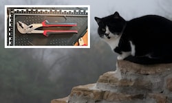 Mit einer Rohrzange (siehe oben) erschlug der Mann seine eigene Katze (Symbolbild).