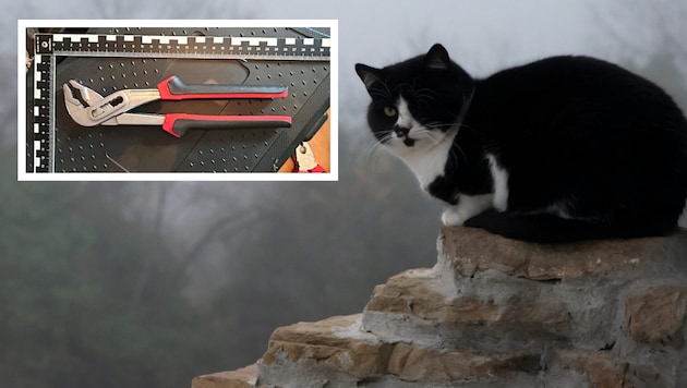 Mit einer Rohrzange (siehe oben) erschlug der Mann seine eigene Katze (Symbolbild).