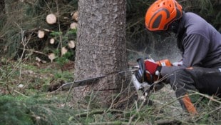 Tipps für das sichere Arbeiten im Wald gibt es von der Organisation „Sicheres Vorarlberg“.