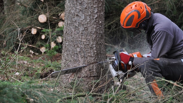 Tipps für das sichere Arbeiten im Wald gibt es von der Organisation „Sicheres Vorarlberg“.
