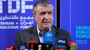 Mohammad Eslami durfte auf Drängen der USA nicht zur IAEA-Konferenz nach Wien reisen.