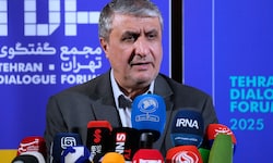 Mohammad Eslami durfte auf Drängen der USA nicht zur IAEA-Konferenz nach Wien reisen.