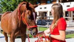 „Sergeant“ ist hier in Henndorf am Wallersee gut aufgehoben.