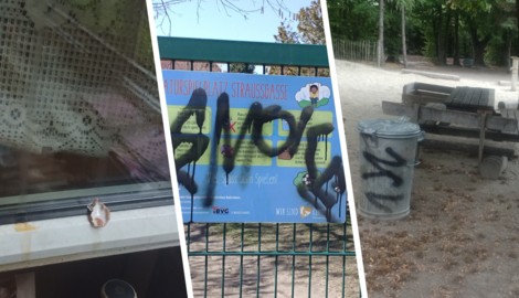 Eierwürfe gegen Hausfassaden, Graffiti und laut Anrainern missachtete Verhaltensregeln am ...