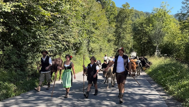 Fein herausgeputzt geht es für die Älplerinnen und Älpler sowie für die Tiere talwärts.