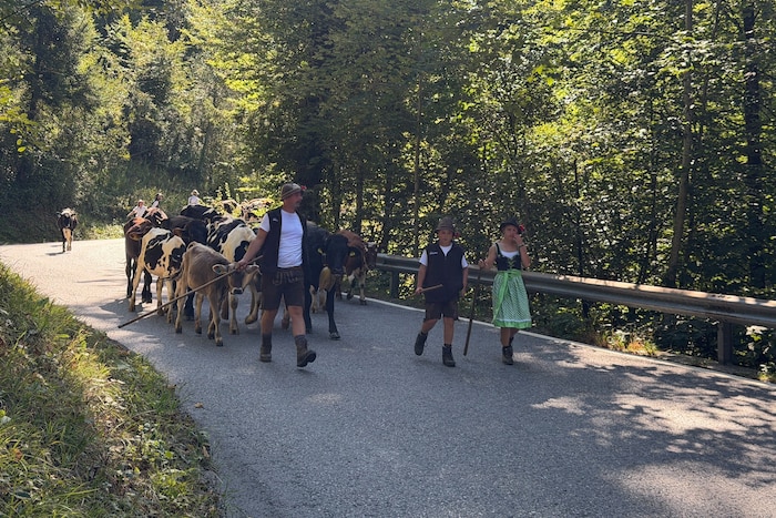 Rücksicht ist seitens der Verkehrsteilnehmer gefragt.