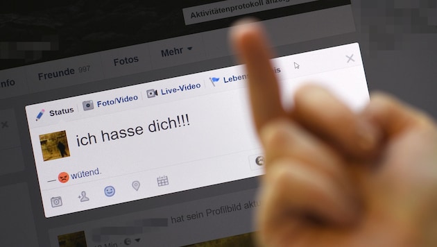 Am häufigsten richtet sich der Hass gegen politische oder gesellschaftliche Ansichten.