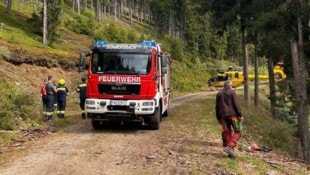 Jede Hilfe kam für den Arbeiter zu spät. Er erlag im Wald seinen schweren Verletzungen.