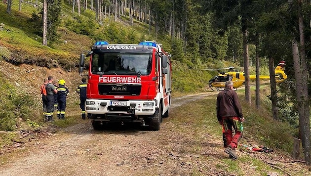 Jede Hilfe kam für den Arbeiter zu spät. Er erlag im Wald seinen schweren Verletzungen.