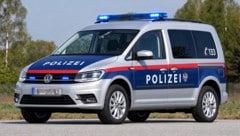 Dieses KI-Bild wäre fast Wirklichkeit geworden: So oder so ähnlich hätte auch der neue ...