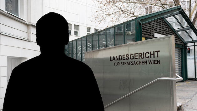 Ein brisanter Akt im Landesgericht Wien erschüttert erneut die heimische Künstlerszene.